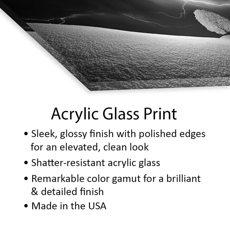 Latitude Run® Lightning Tree by Kathrin Federer Unframed Graphic Art